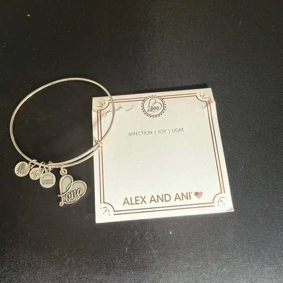 Alex and Ani Silver Love Charm Bracelet - Picture 2 of 2